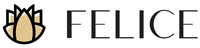 Felice - modne torebki i torby damskie